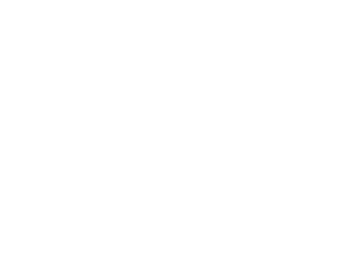 El Camello