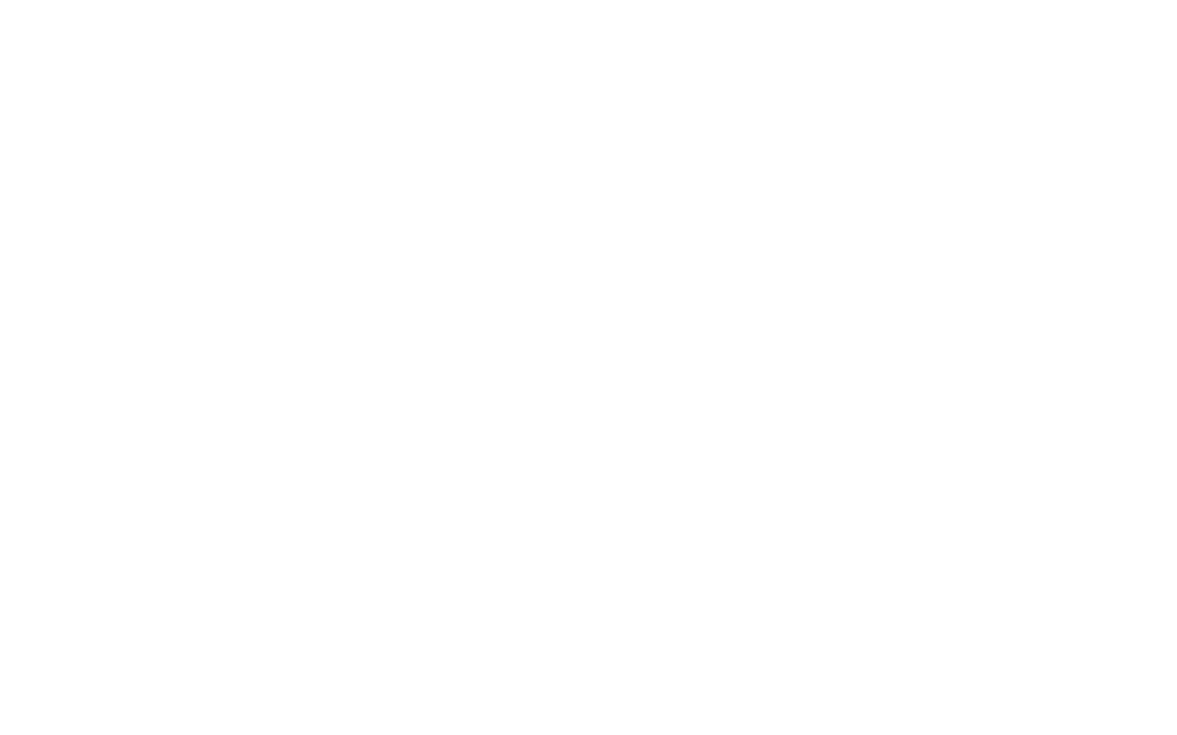 Silver Shot Gaming