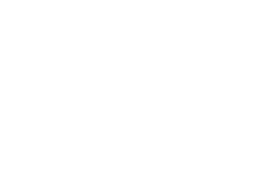 Silver Shot Gaming